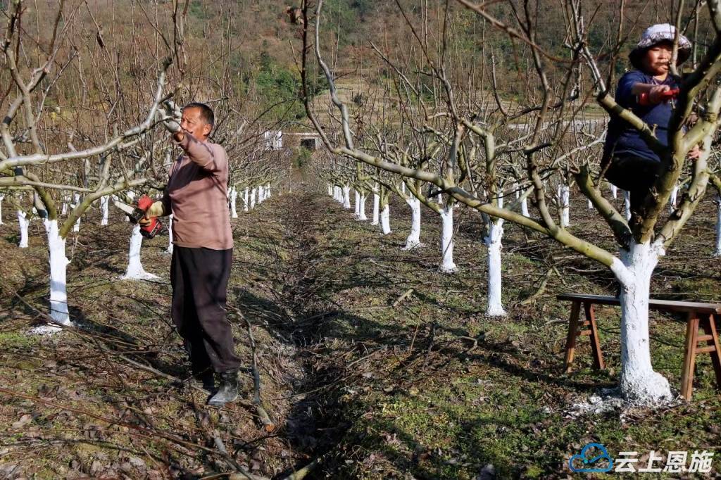 建始长梁209国道征地图片