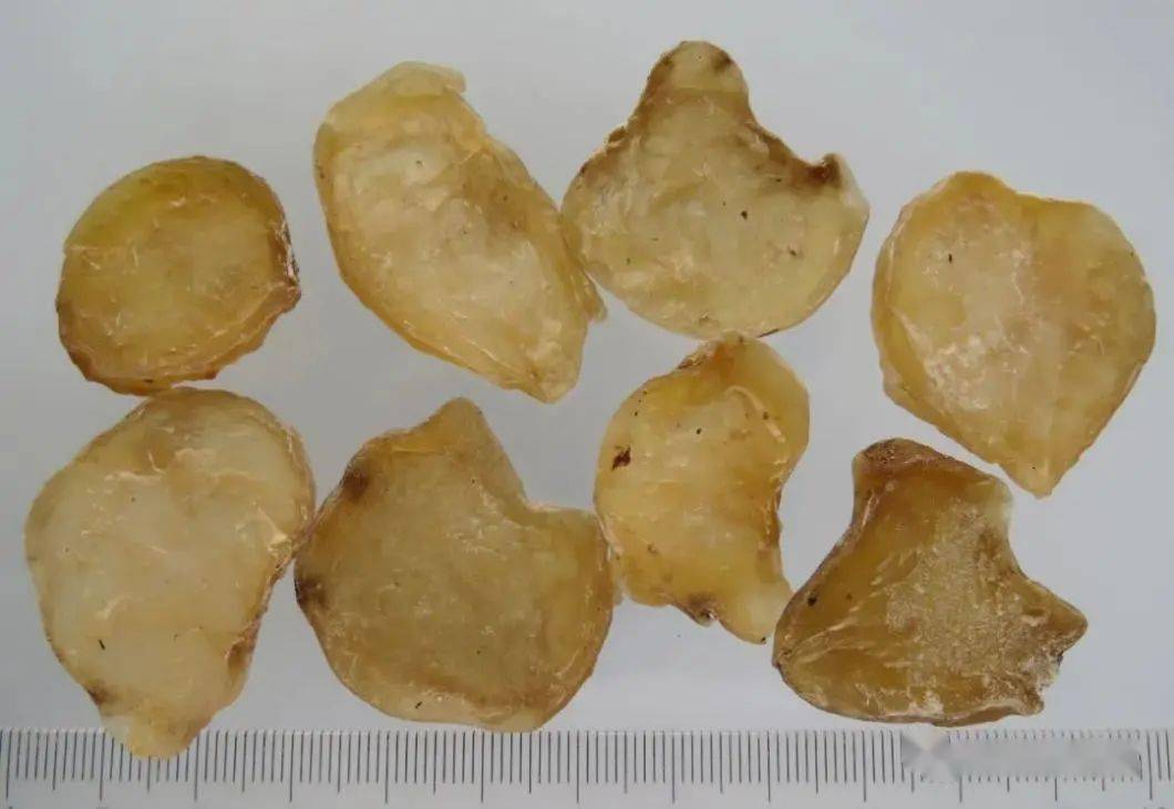 白附子 来自搜狐网