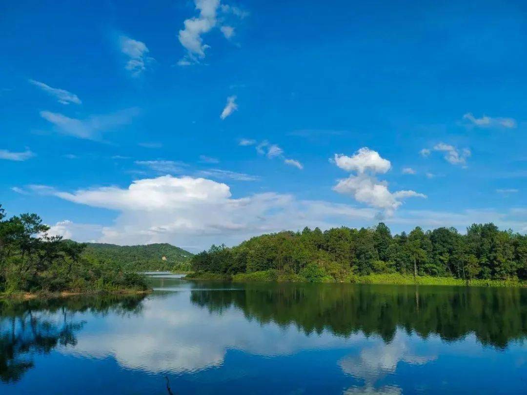 老照片里的岁月:30年前的罗定金银河水库原来长这样_表面_地方_时代