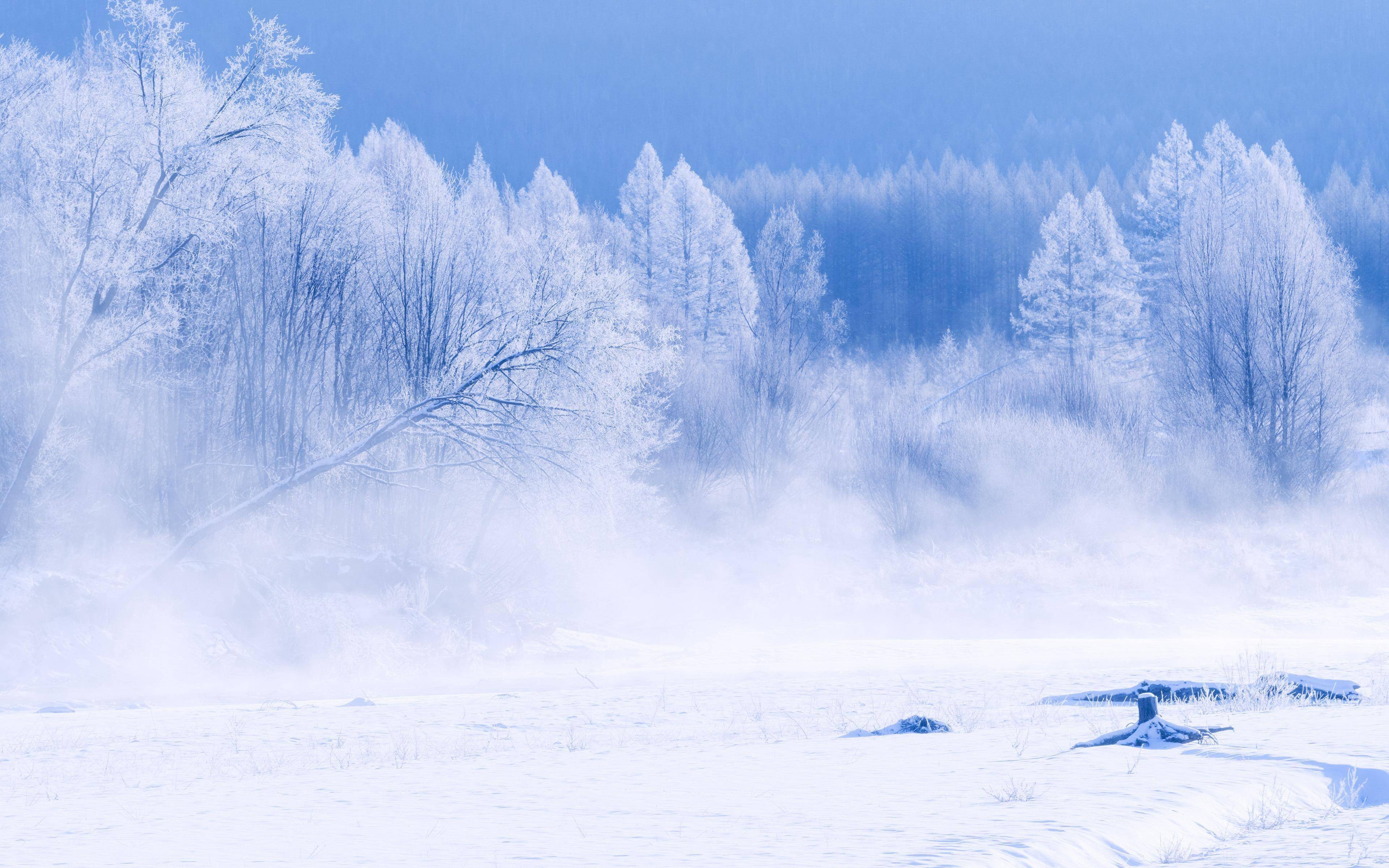 苍茫大地白雪皑皑图片