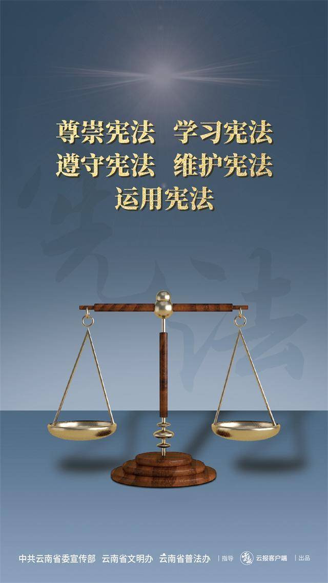 第十个国家宪法日宣传海报(2)_高清_图片