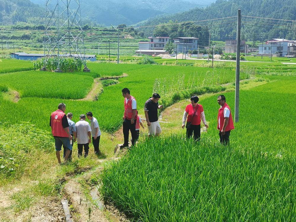 清远连山:两地人大代表联合调研湘江源,共守护"一江碧水"_禾洞镇_活动