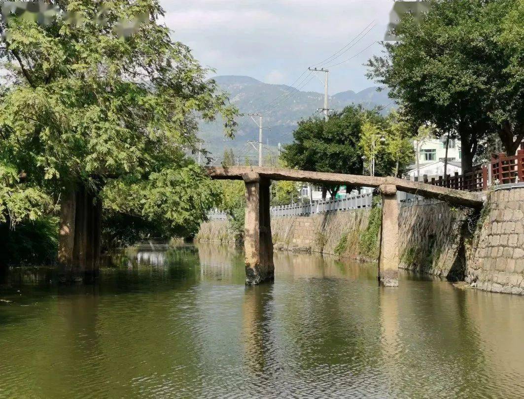 陶山两条相距仅半里的"国保"古石桥--八卦桥和河西桥_瑞安_老屋