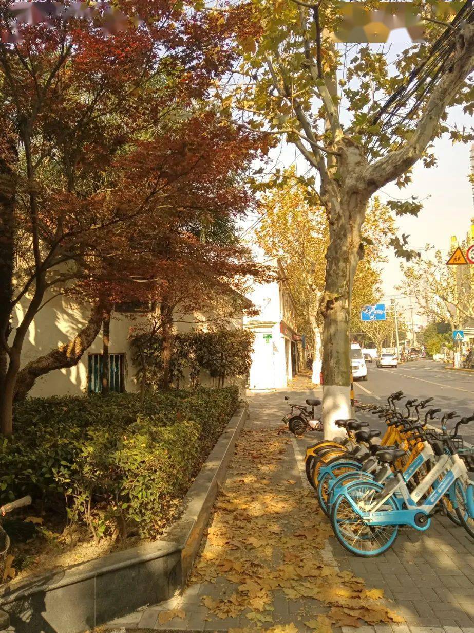 黄金城道@张蕾@汪汪@刹那·f·清英@claudia鸡爪槭叶@94(^ω^)=97