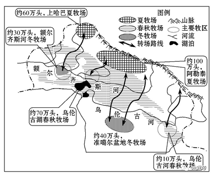 轉場_牲畜_草原