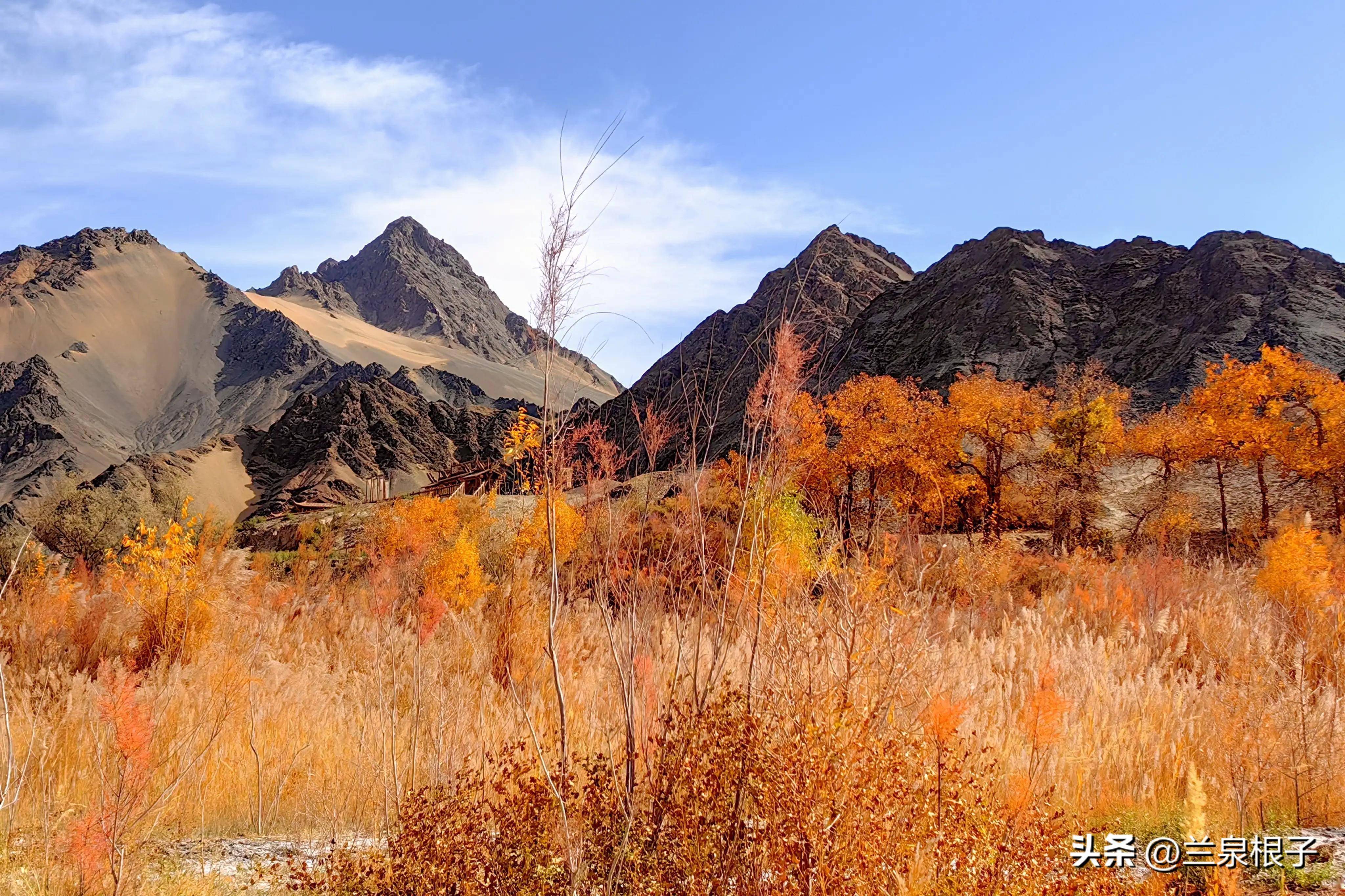 秋天的酒泉阿克塞多坝沟胡杨峡景区原生态风景美如画卷