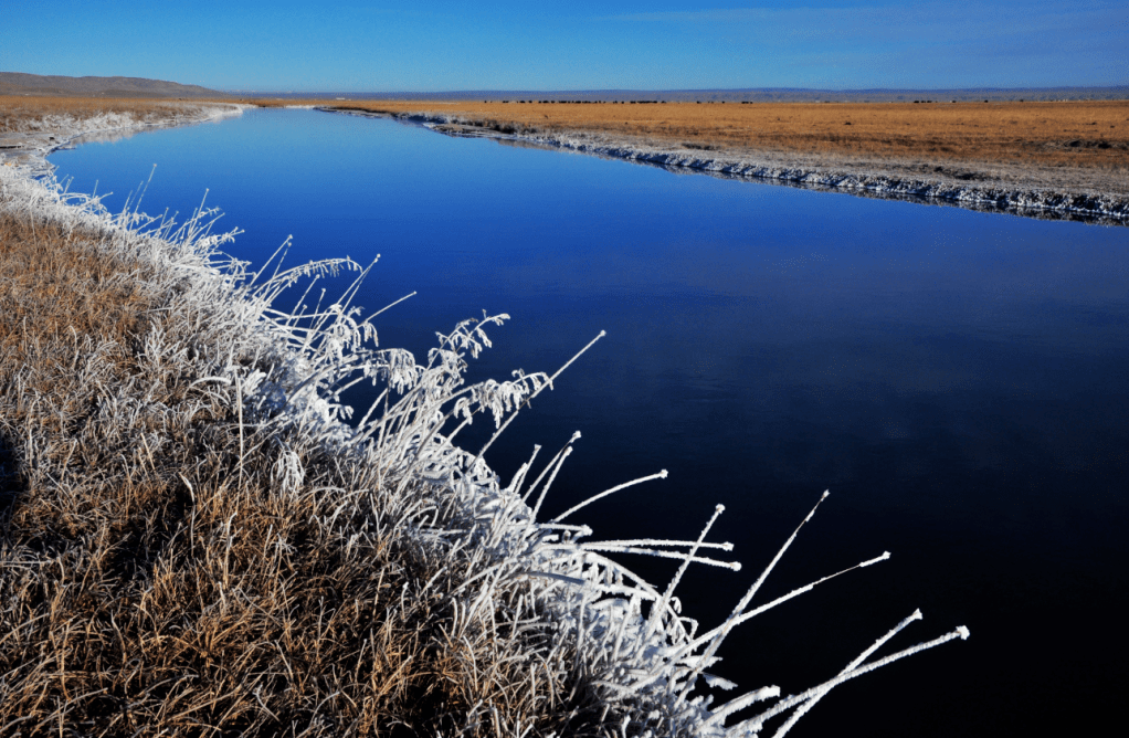 ▼青海湖主要支流布哈河▼岂不辜负了这美景此时不出门走走像是冬天落