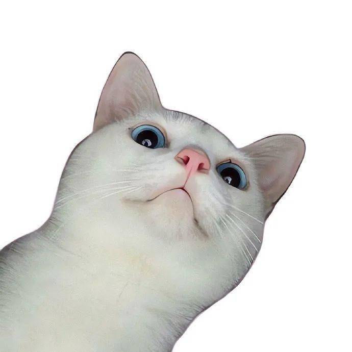 趣味白底头像可爱搞怪头像03~ 吃喝日常940358 一些胶片20