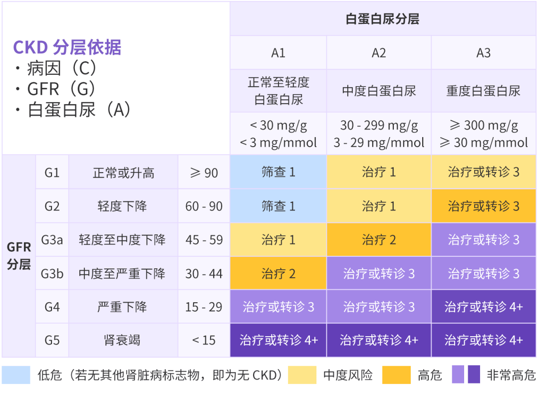 慢性肾脏病分期标准图片