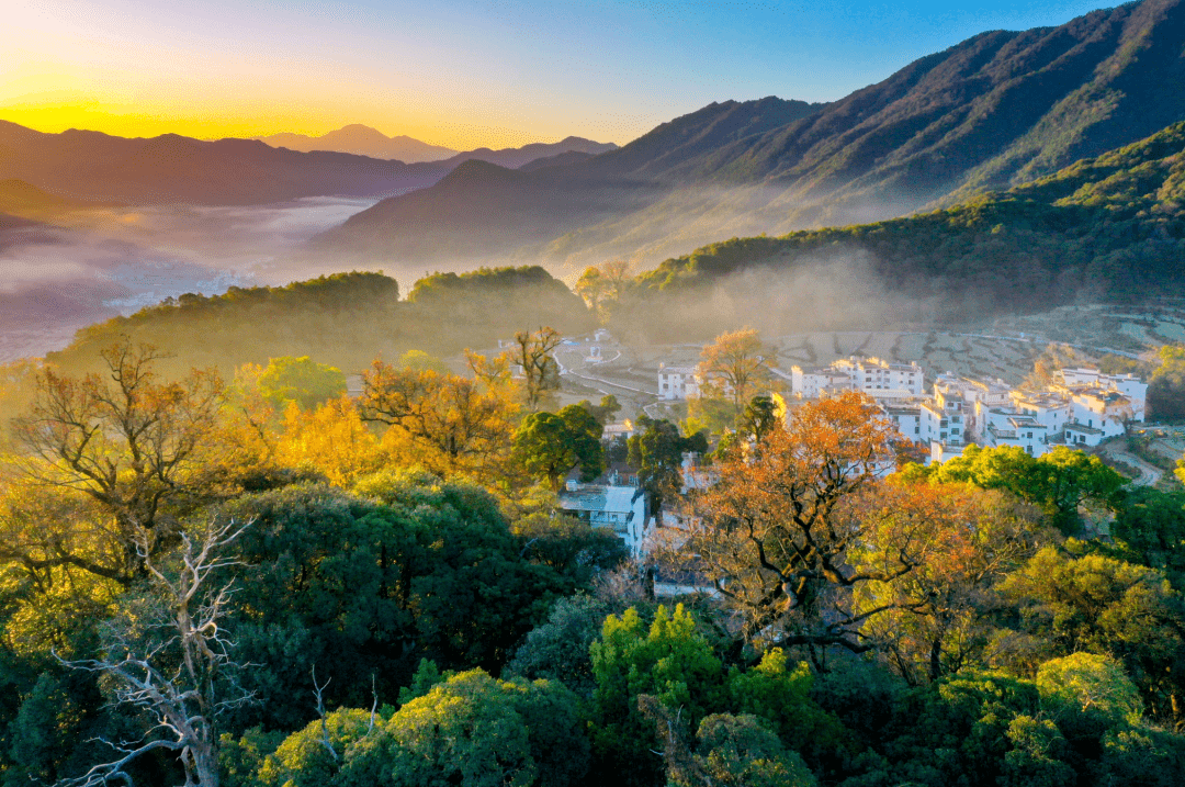 城02(通票内含:江湾,李坑,汪口,晓起,江岭,思溪延村,彩虹桥,石城