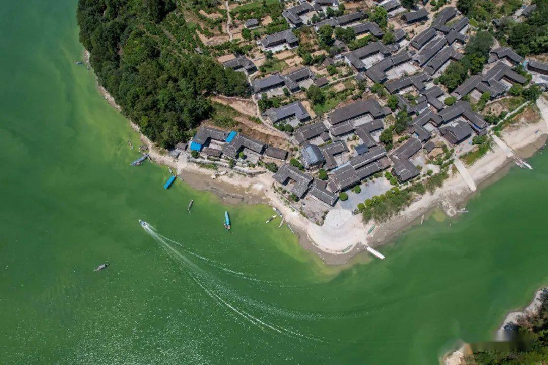 酉阳2镇3村入选鲁渝协作乡村振兴示范镇村!_集体_小河镇_农户