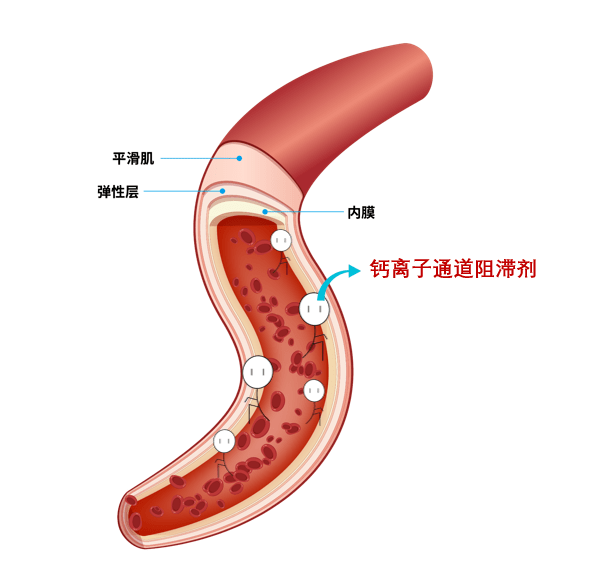 钙离子原子结构示意图图片