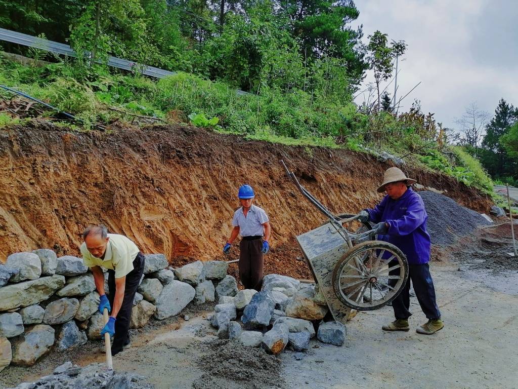 畝,修建生產道路,水利設施,組織5家專業合作社基地化管理茶園2323畝