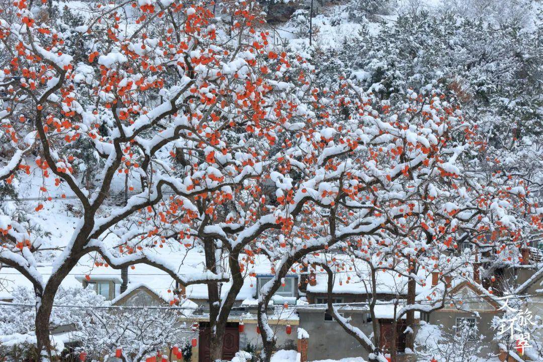 冬游威海 | 最值得去的"宝藏打卡地"_北美_雪花_大海