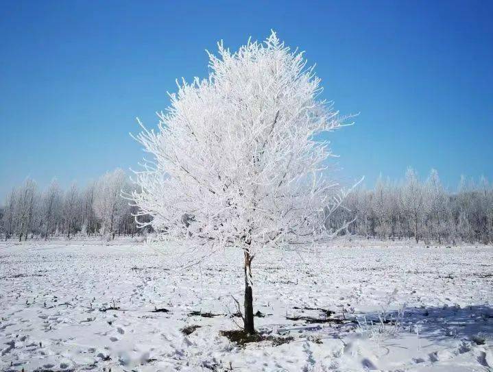 北风潇潇白雪飘飘图片