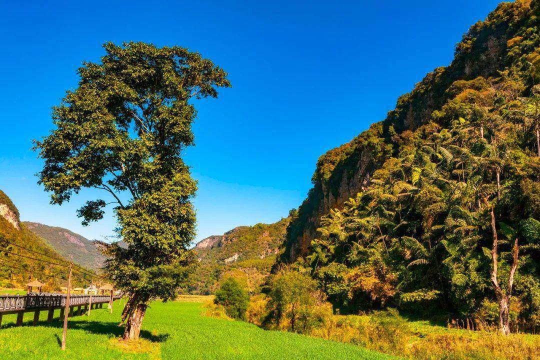 千米国画长廊坐标:临沧市沧源佤族自治县佤山,永和口岸附近不用去