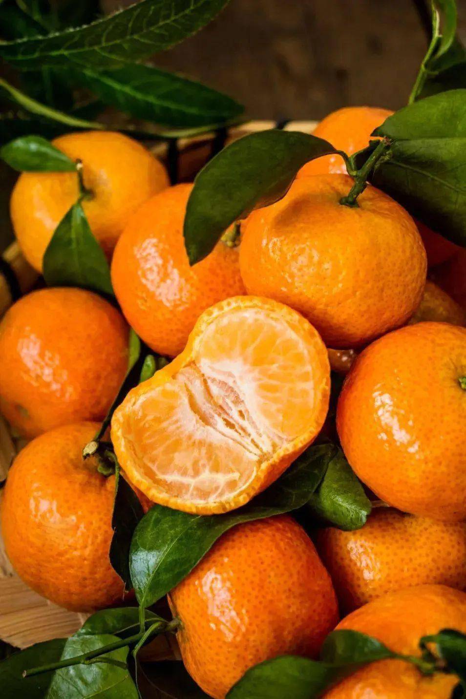 柑橘_梅州_中国