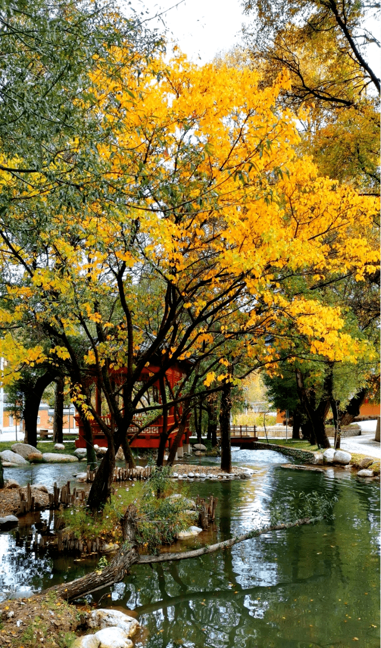 全力冲刺5a创建——冶力关旅游区创建国家5a级旅游景区综述_工作_服务