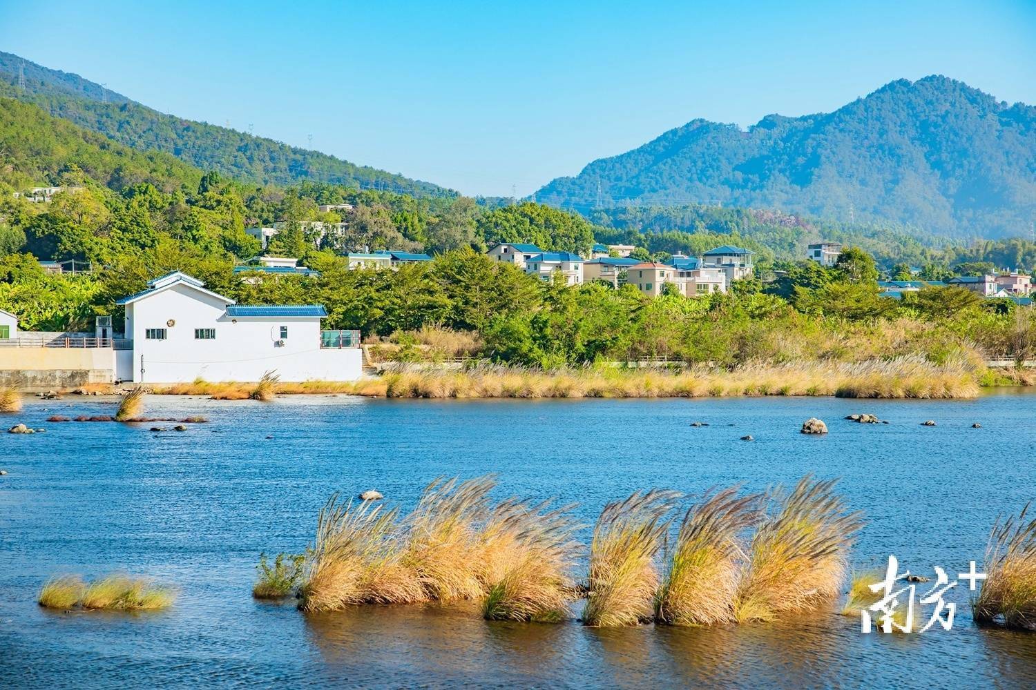 蕉岭长潭碧道珞珈段举行樱花种植动工仪式_石窟_建设_发展