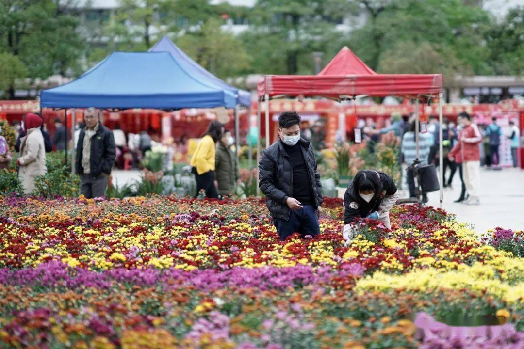 南沙花市時間地點確定,這些地方能放煙花爆竹→_規定_