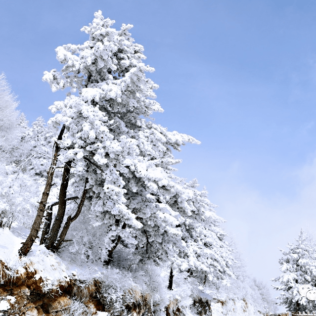 大雪景色很美图片