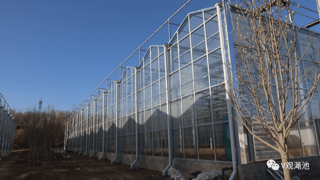 振兴丨智能温室大棚 促进传统农业加速迈向现代化_渑池县_英豪镇_发展