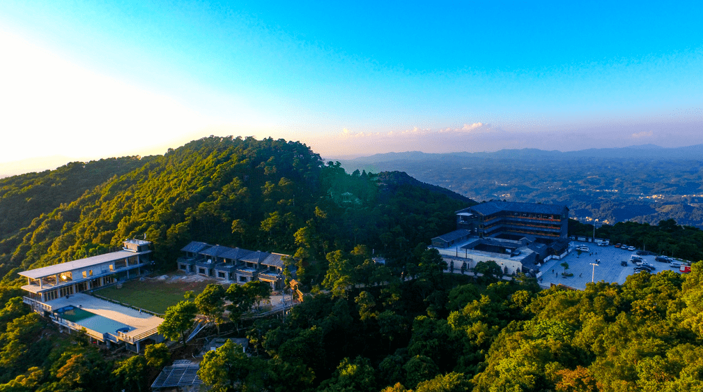 【乡村振兴】浦北:林下"好热闹" 共振"新乡村"_发展_建设_经济