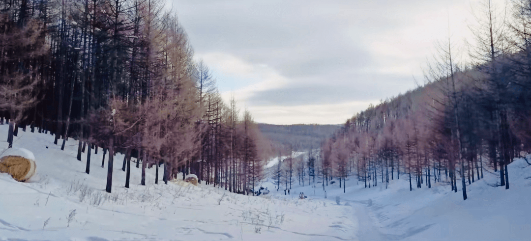 超详细打卡拍照攻略！来阿尔山旅游度假区这样拍，包你炸裂朋友圈！