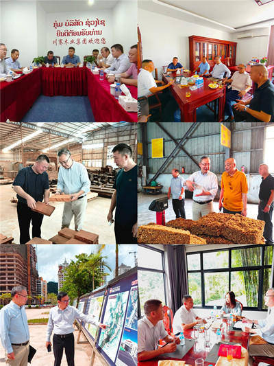 直通使领馆 | 驻琅勃拉邦总领事张社平:中老铁路开通运营两周年 综合