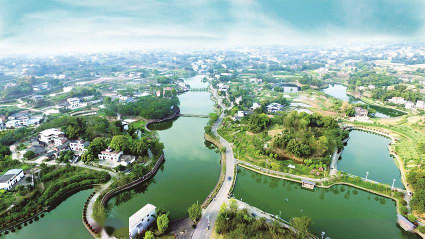 乡村振兴看双加:加项目,加幸福_泸州市_龙马潭区_特产品
