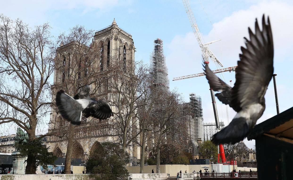 (国际)法国总统:巴黎圣母院将于2024年12月8日开放_新华社_高静_活动