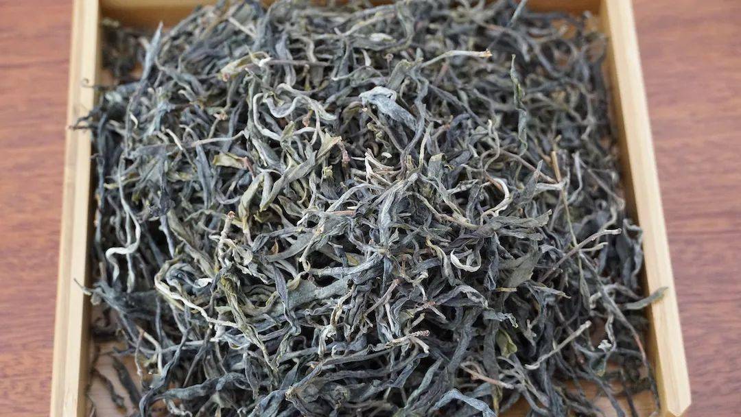 温度临沧 | 双江冰岛茶,普洱茶"王后"_茶树_com_xxzx