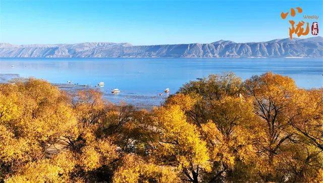 临夏永靖太极岛:深藏大山中的塞上江南