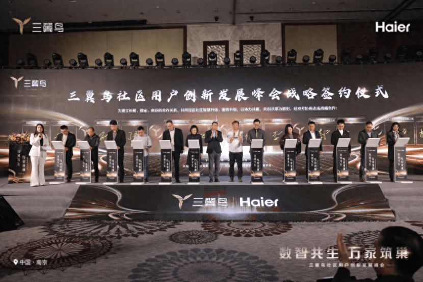 三翼鸟2023：需求中破局，进化中蝶变