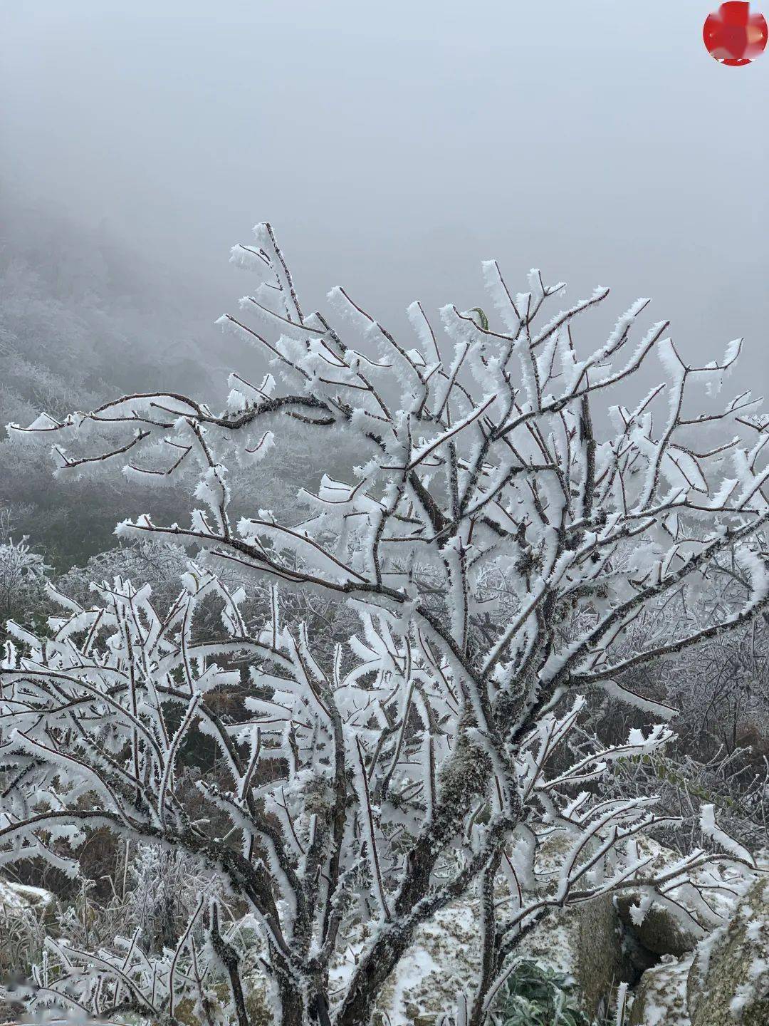 桂林下雪的美景图片图片