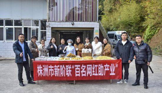 株洲市创新开展新的社会阶层人士"三百三助"活动_企业_基层_行动