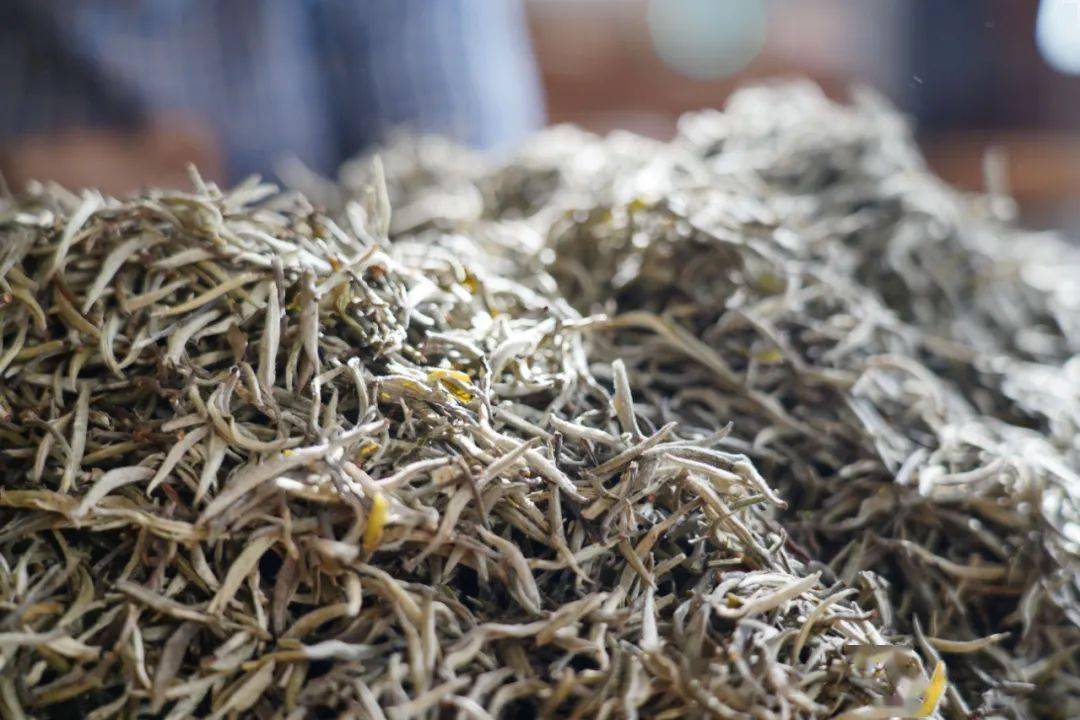 无量白茶 高香回甘_南涧县_茶叶_生产