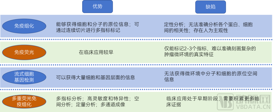 子宫息肉报告单图片