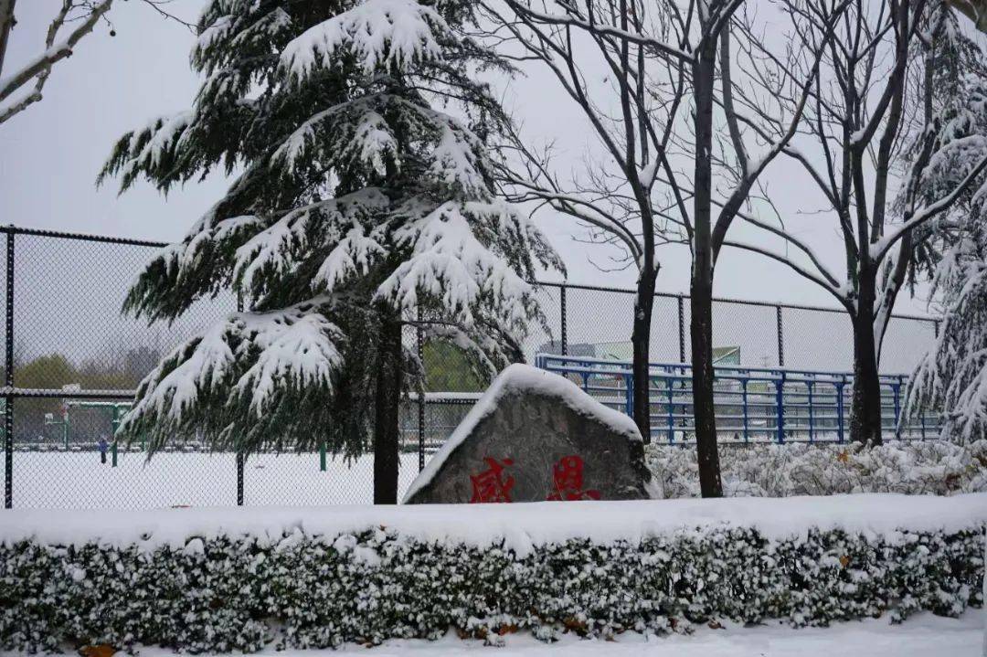 河南高校开启雪景刷屏模式