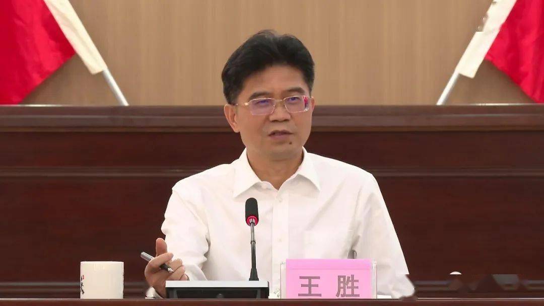 王胜带队到惠来县隆江镇调研_工程_乡村_产业