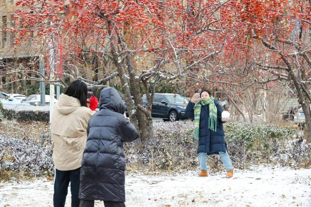快来投票_校园_雪花_飞雪