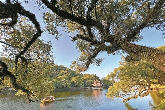 打造凤凰山茶旅走廊,饶平风吹岭山,国有红山林场,湘桥紫莲山森林公园