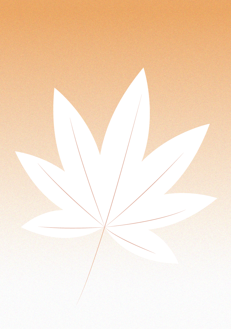 路梧桐树叶渐渐变黄高大的树木沿着道路绵延放眼望去满眼金黄春夏时