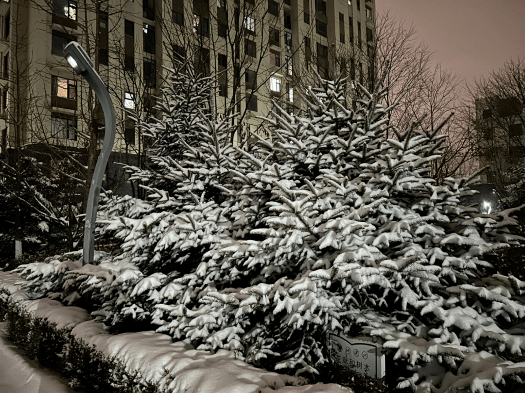 局部大暴雪!最低气温-35℃,突破丹东近30年历史同期极值!