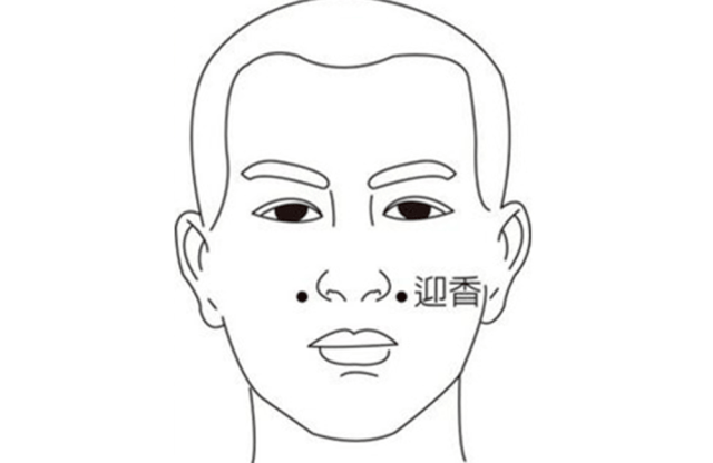 其中以甲型流感為主