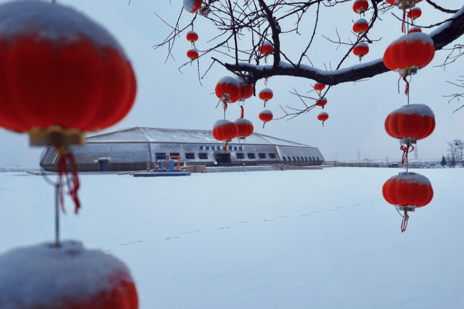 银川下雪啦,宁夏各地雪景大片上新中