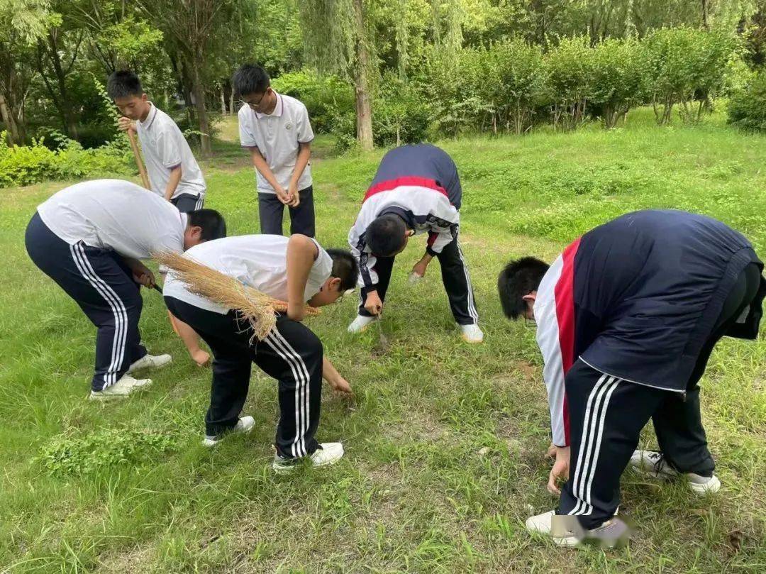 西港中学2024年春季招聘公告(初高中各学科)_教育_办学_教学