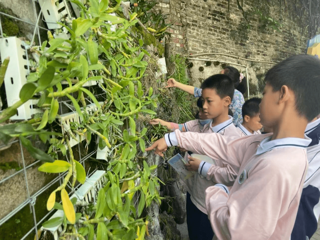 云东海又一学校被评为佛山市中小学劳动教育特色学校!