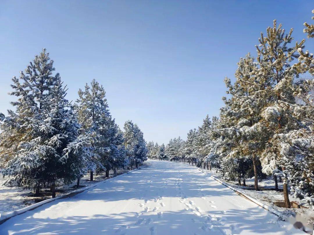 紅鹼淖 | 冬天與雪的旋律_聲音_雪花_雪地