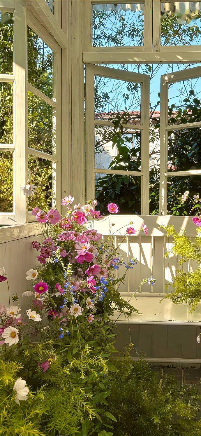 壁纸| 存一下好看锁屏壁纸